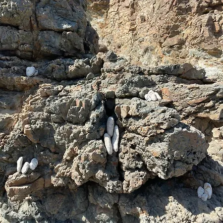 Near Of In Mykonos דירה